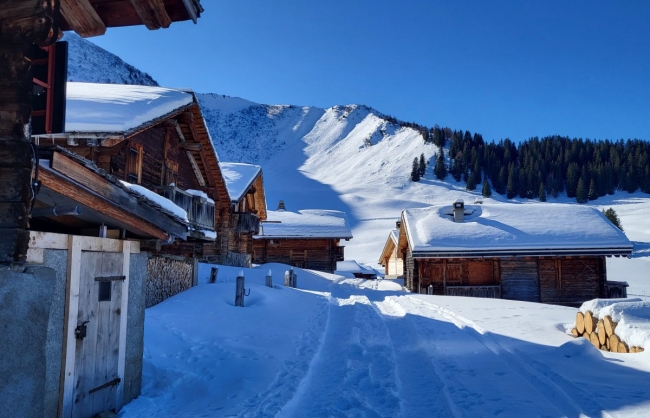 Snowshoe hike 01.01.26