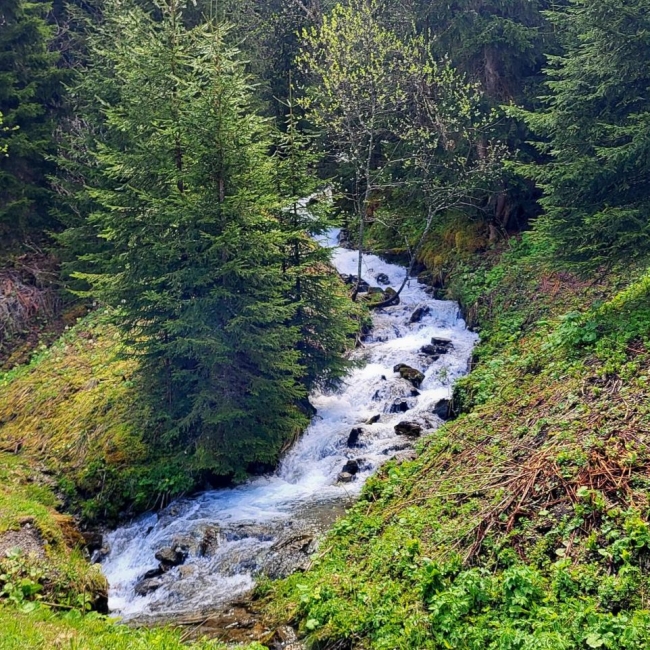 Au fil de la Gryonne - Gryonne Alpine Trail